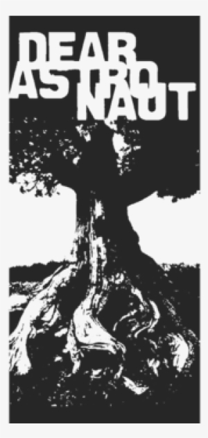 Dark Forest In Black - Graphic Design