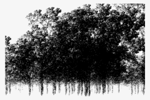 Enter Image Description Here - Monochrome