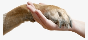 Animal Communication Seminar - Paw And Hand Png