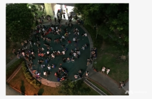 Can The Global Phenomenon Sustain Its Success