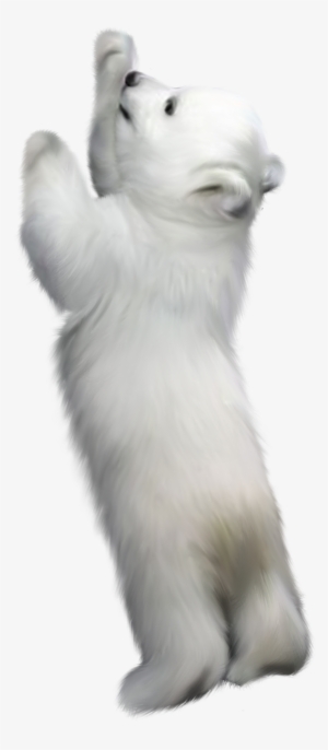Фотки Winter Backgrounds, Bear Clipart, Winter Clipart, - Polar Bear Standing Up Png