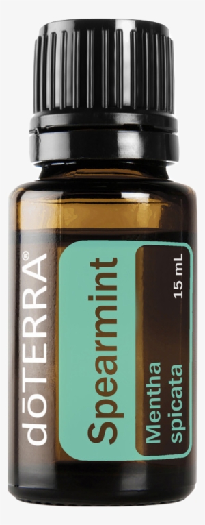 Spearmint Pdfspearmint Png - Doterra Spearmint Essential Oil 15 Ml