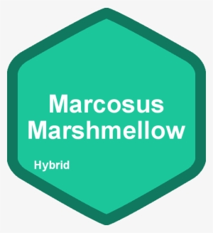 Brain Scan Narcolepsy