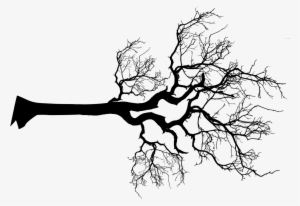 Menu - Black White Tree Png