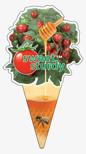 Click To Open Image Click To Open Image - Bacardi Cocktail