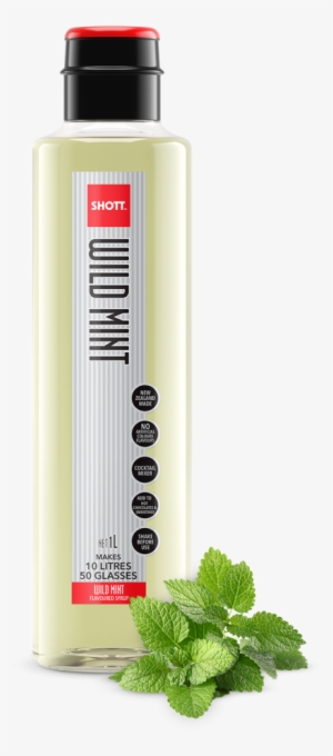 Wild Mint - Shott Wild Mint