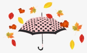 Umbrella