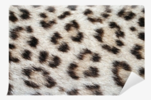 Gartner Studios Junior Notebook, Assorted