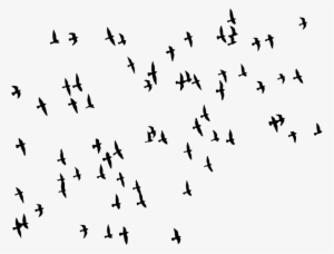 Flock Of Birds Png By Kasirun-hasibuan Pluspng - Migratory Birds Black And White