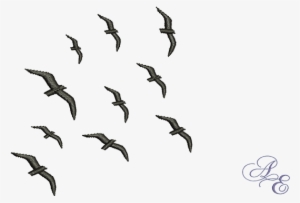 A Small Flock Of Birds In Silhouette - Flock Of Birds Transparent