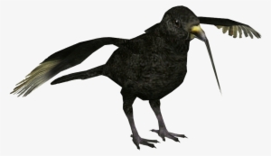 Black Mamo - American Crow