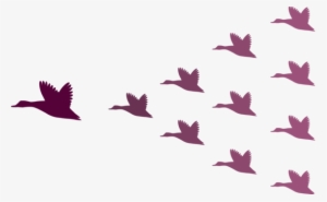 Geese Flock Leadership - Leadership Geese