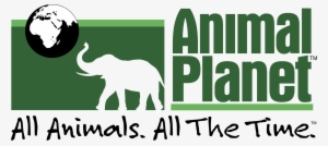 Animal Planet 1 Logo Png Transparent - Animal Planet Elephant Logo