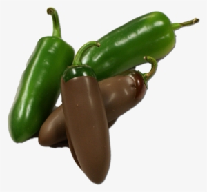 Serrano Pepper