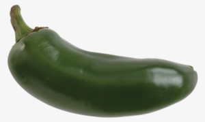 Jalapeno Pepper - Green Jalapeno Pepper
