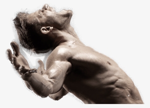 Anarchy Abs Is A Rapid Fat Burning, Six Pack Shredding - Illustration