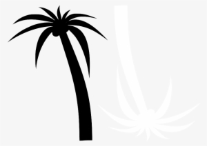 Transparent My Editcollage - Palm Tree Clip Art
