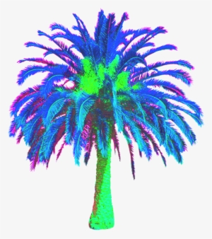 Freetoedit Vaporwave Vaporwavecrew Webpunk Aesthetic - Date Palm Tree Png