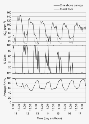 Daily Variation Of O 3 Concentration 2 M Above The - Number