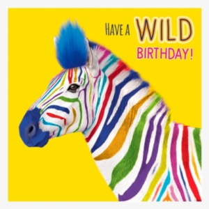 Birthday Funky Quirky Unusual Modern Cool Card Cards - Zebra