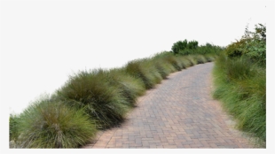 Go To Image - Grass Path Png