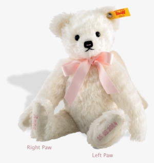 Steiff Bear - Teddy Charlie Bear Pink