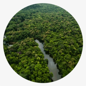 We Currently Have Over 2000 Monthly Members Who Are - Congo Forest