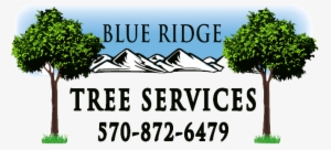 Blue Ridge Tree Services