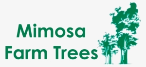 Spiritual Warfare: How To Pray - Intercessory Prayer