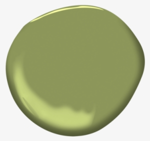 Sycamore Tree - Circle