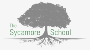 Sycamore School - White Pine