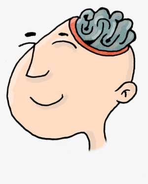 Play Stimulates Cognitive Development , Which Has A - Cognitive Development Clipart Png