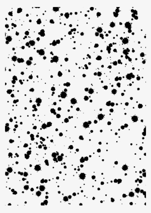 Big Image - Monochrome