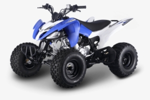 Atomik 125cc Red Feral Quad Bike