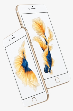 And A Distinctive New Rose Gold Finish Joins The Existing - Pay As You Go Iphone 6s Plus Silver