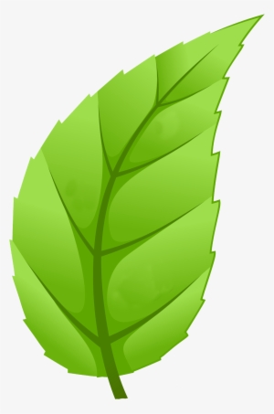 Healthy Communities - Leaf Trees Png