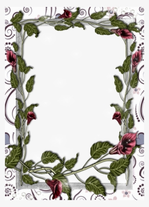 White Flower Frame Transparent