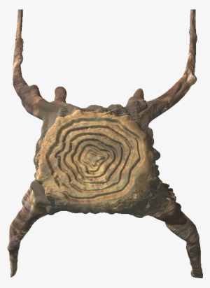 Top View Tree - Adobe Photoshop