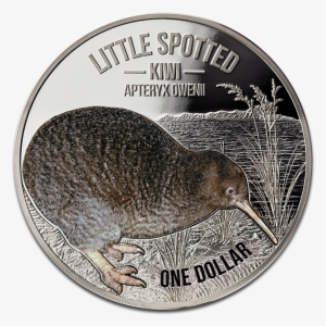 View Large Image - Kiwi