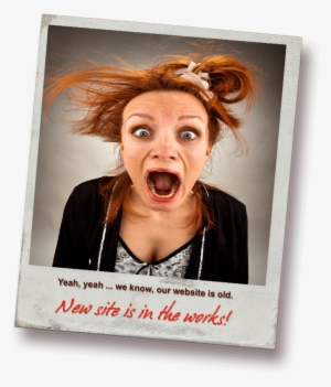 Just Like So Many Of Our Clients, Mg Lomb Was Too Busy - Apple Iphone Se Telefoonhoesje Maken - Softcase Wit