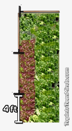 Making Math Real Doesn't Have To Be Difficult - Vegetable Garden