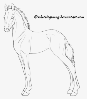 Free Horse Lineart - Horse Drawing Foal