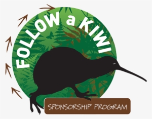 We Like To Keep A Really Close Eye On Kiwi Released - Illustration