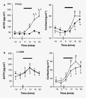 Pituitary-adrenal Responses To Acute Hypotensive Stress - Diagram