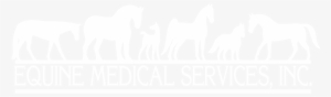 Logo - Equine Medical Services