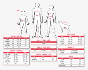 1 Of 3free Shipping Rubie's Deluxe Kids Supergirl Costume - Rubie's Men's Size Chart