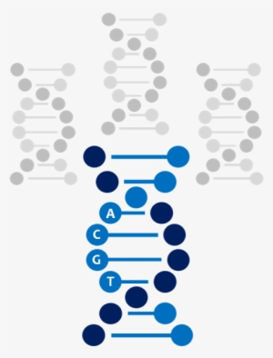 Overview - Espiral Adn Icono