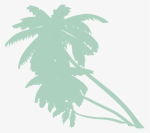 Animated Palm Tree Png