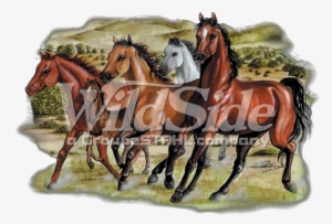Four Running Horses - Horse