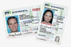 Standard Minnesota Driver's Licenses - Mn Real Id